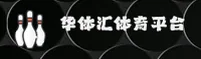 使用指南与常见问题